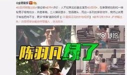 王四粉丝爆料视频大全最新,独家揭秘幕后故事